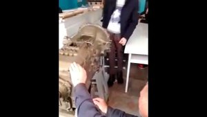 Разборка-сборка коробки отбора мощности электрического, гидравлического автомобильного крана