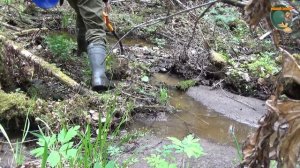 Поход за золотом по лесным ручьям. Всё как есть на самом деле.