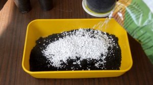 Грунт для кактусов и суккулентов. Как сделать самим?