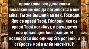 ВКЛЮЧИ СКОРЕЕ, СЕГОДНЯ ОНА БЕСЦЕННА. Утренние молитвы на день. Иисусова молитва, псалом