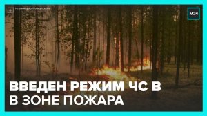В зоне природного пожара в Нижегородской области ввели режим ЧС - Москва 24