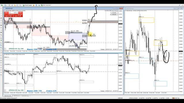 Прибыльная торговля на FOREX (Сделки по NZDUSD 22-24 января) смотреть онлайн