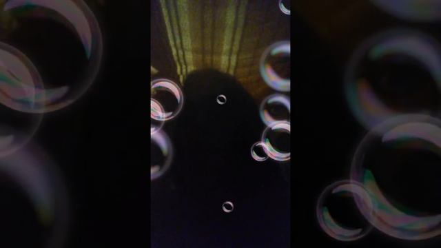 Как строить дом из подушек? смотреть онлайн