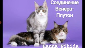 Соединение ВЕНЕРА-ПЛУТОН в натальной карте.Hanna Pihida