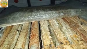 Надо ли менять маток в пчелосемьях каждый год?!