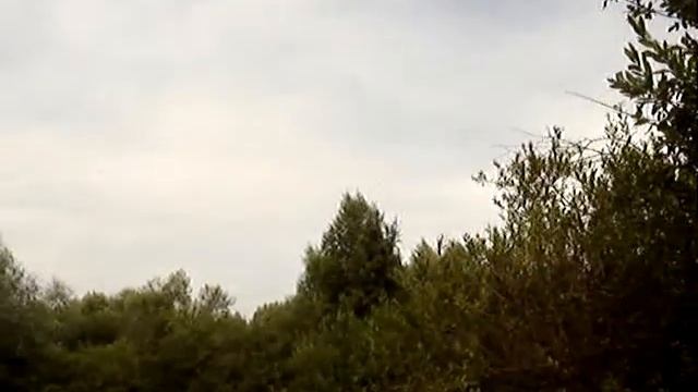 Пруд (вода из большого поступает в маленький). Медитация. Пение птиц. Спокойствие. Природа. Цветы. смотреть онлайн