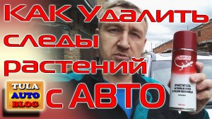 КАК удалить следы растений с АВТО