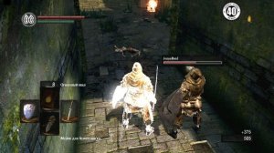 Как играть в Dark Souls вдвоем