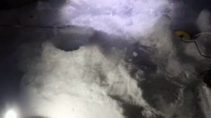 вечная рыбалка на налима