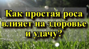 Как простая роса может повлиять на здоровье и удачу?