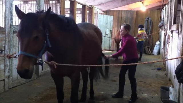 VLOG | Самостоятельная тренировка | 15.04.2017 смотреть онлайн