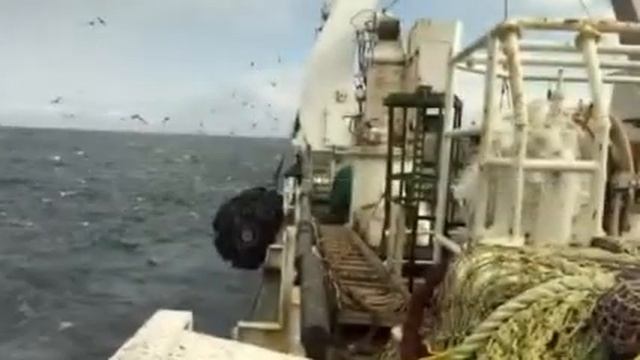 Морская тематика смотреть онлайн