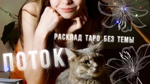 ПОТОК! Своевременная информация для Вас. Общий расклад таро онлайн для мужчин и для женщин