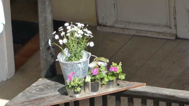 Panasonic Lumix DMC-TZ80 (ZS60) zoom test 1 смотреть онлайн