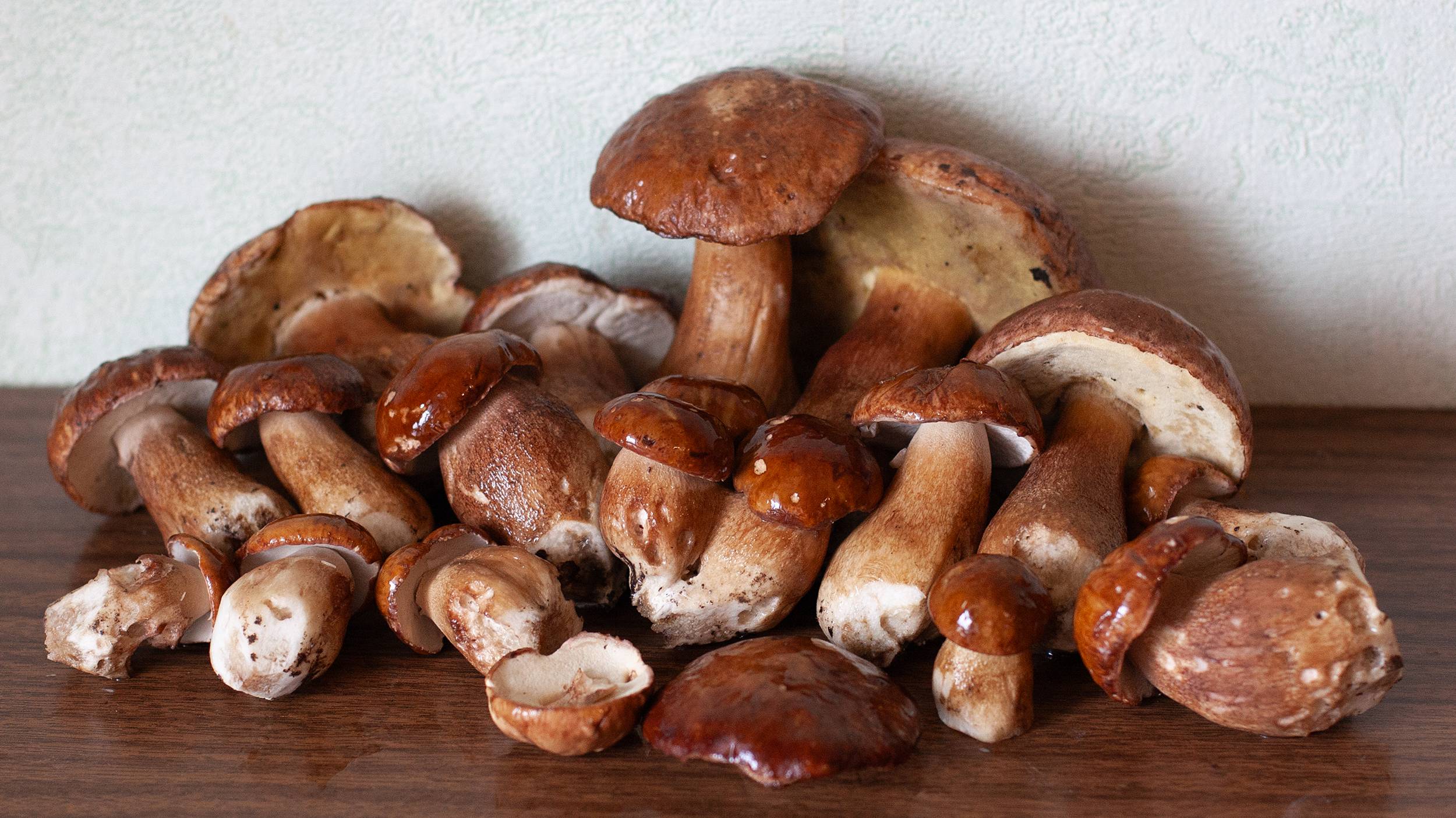 Грибы. Белые и боровики в Подмосковье. 20 июня 2024 года смотреть онлайн