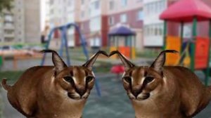 У меня есть много дел (породия от Мирби).