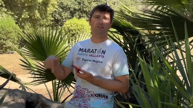 В Сша через Мексику. Получил дату в приложении CBP ONE|84 день