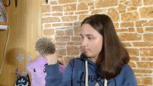 Как развернуть ежа ? Почему ежик не ест насекомых ???