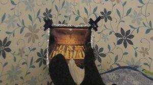 Активатор нейронов мозга. Магический прибор Юрия Скугарева