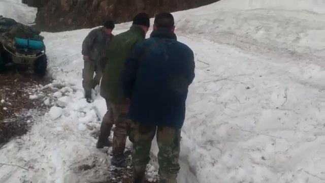 ?️Кавказская серна и нелегкая дорога в горы Кавказа. смотреть онлайн