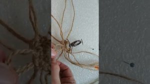 Макраме мастер класс. Брелок из джута "Сова" часть1