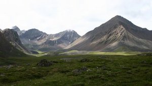 Природа Сибири