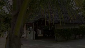 INDIGO Beach - HOTEL Tanzanie - Zanzibar