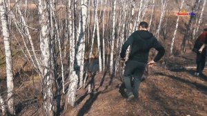 Немецкая и ВЕО Лучшие собаки среди овчарок или На прогулке в период заразы