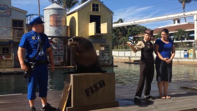 Любовь морского котика смотреть онлайн