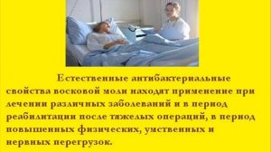 Восковая Моль