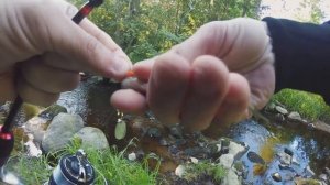 Рыбалка на ультралайт на малой реке. Ловля форели на вертушку mepps