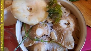 Самый вкусный сухой(холодный) посол сырых груздей..avi