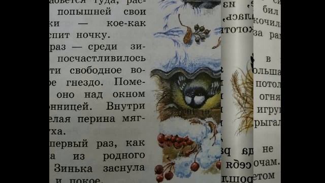 "Синичкин календарь", В. Бианки. Занятие 1 - "Январь"