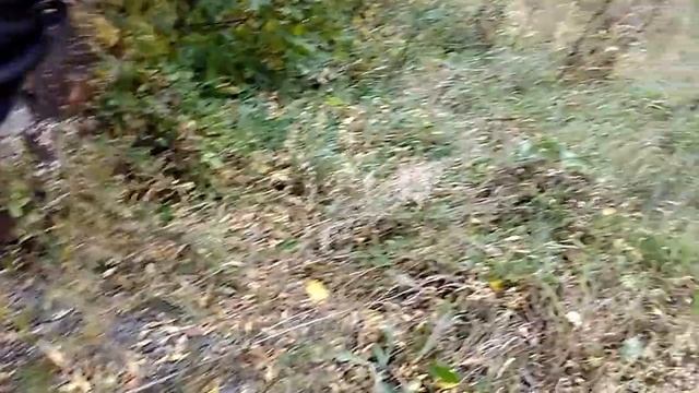 Корпус заброшенной военной базы 7 смотреть онлайн