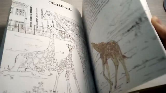 Обзор раскраски Калининградский зоопарк