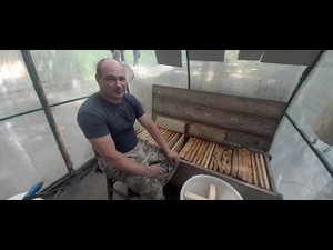 Сколько мёда в полурамке?