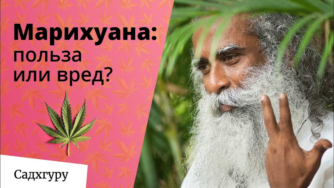 Вредно ли курить марихуану?