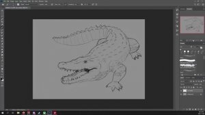 45 Minute Crocodile Sketch