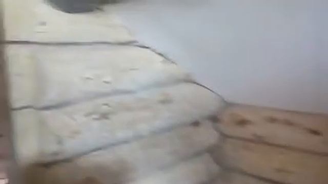 ШлифовкаПокраскаГерметизацияРеставрацияВыпоним заказ.23.05.2019.