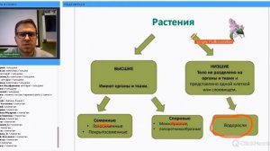 ВЫСШИЕ И НИЗШИЕ РАСТЕНИЯ. БОТАНИКА|ЕГЭ|ОГЭ