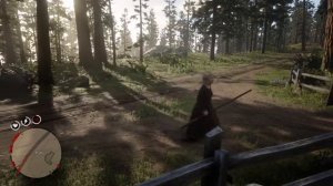 Red Dead Redemption 2 manzanita nordic witch lands ?????