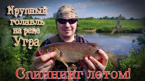 Ловля крупного голавля летом. Рыбалка на Угре.Спиннинг летом