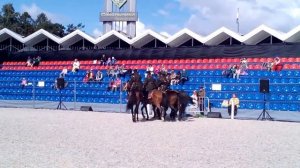 Конный театр