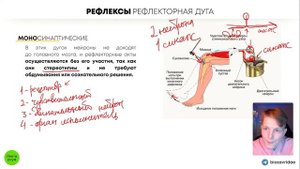 БИОЛОГИЯ ОГЭ - Рефлексы