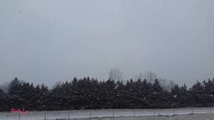 Потрясающе красивые стихи Вероники Тушновой о любви.