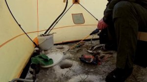 луда 2019. первый лед. крупная навага