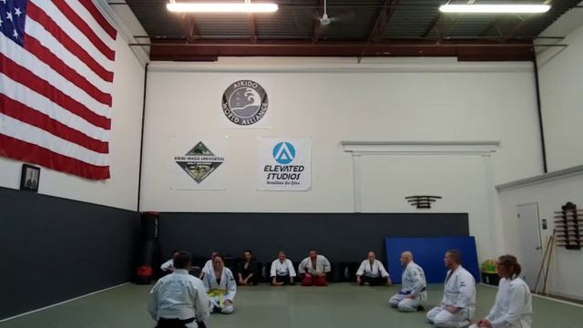 Erika's 5th Kyu Aikido Test (AWA) смотреть онлайн