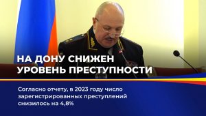 На Дону снижен уровень преступности