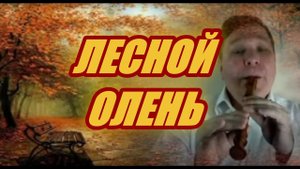 Лесной олень #блокфлейта #флейта #музыка #музыкаинструментальная #инструменты #духовые #олень