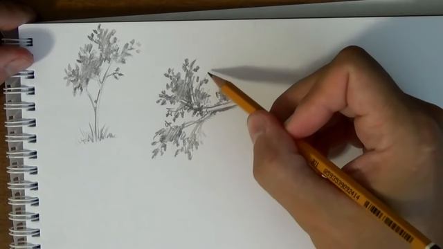 Основы рисунка. Часть 16 - как быстро и просто рисовать листья деревьев
